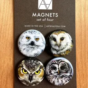 Owls Magnet Set