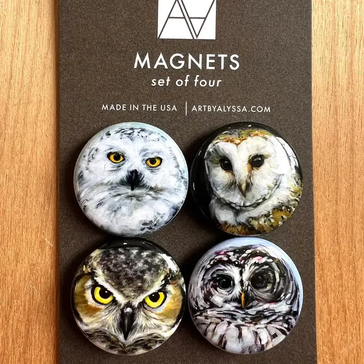 Owls Magnet Set